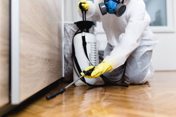 Best Residential Pest Control  in Silt, CO