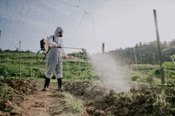Best Pest Prevention Services  in Silt, CO