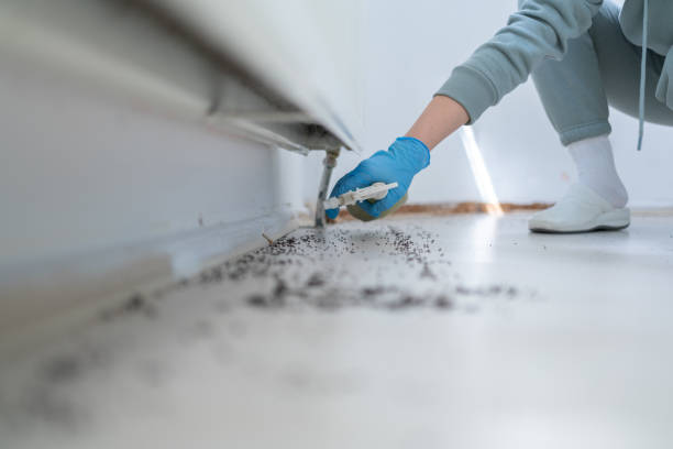 Best Pest Inspection Near Me  in Silt, CO