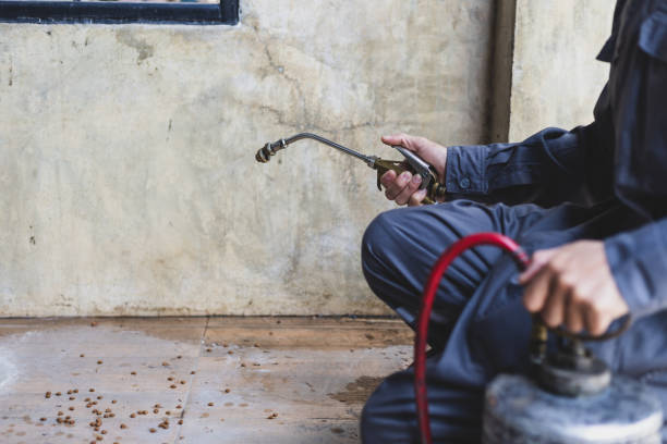 Best Mosquito Control Services  in Silt, CO
